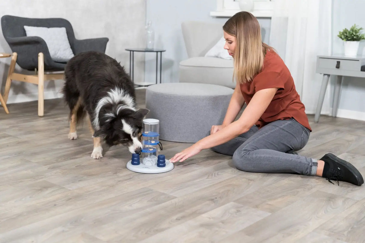 Intelligenzspielzeug für Hunde | Glücksspiel Turm Topmast