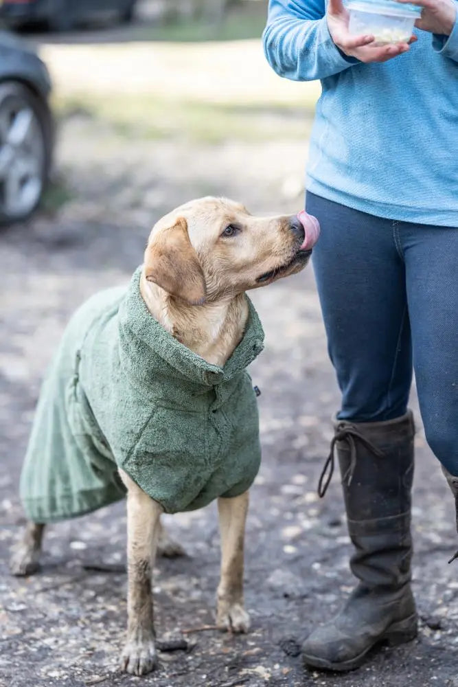 Hunde Bademantel Medea X - olive Wolters