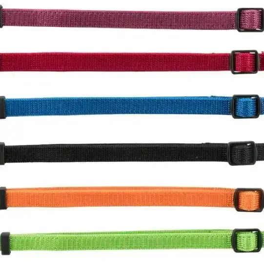 Welpenhalsband - Set bestehend aus 6 verschiedene Farben - Mypuppystore #