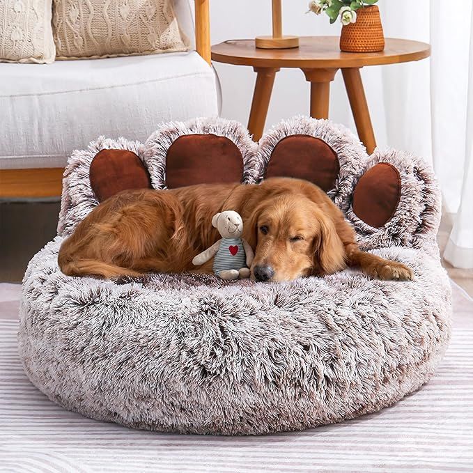 Hund auf Hundebett liegend