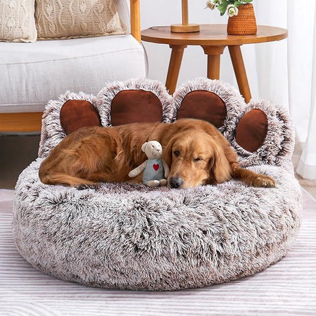 Hund auf Hundebett liegend