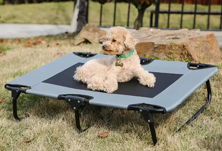 Hundeliege grau mit Hund darauf liegend