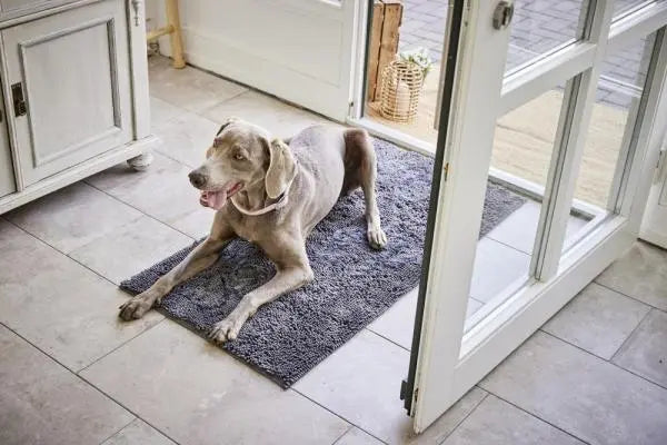 Sauberkeit und Pflege