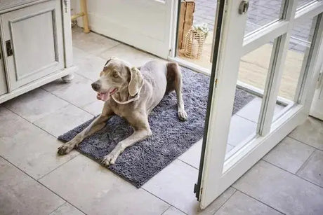 Sauberkeit und Pflege