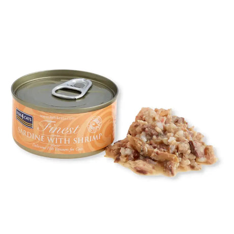 Trockenfutter & Nassfutter für Katzen