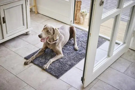 WOLTERS Cleankeeper Flurmatte dunkelgrau Wolters