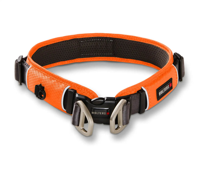 Helles orange und schwarzes Wolters-Hundehalsband mit robustem Netzinnenteil, silberfarbenem Metallbeschlag und verstellbarer Schnalle.
